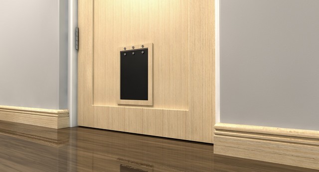 Cat Flap Installation Darenth, Bean, DA2