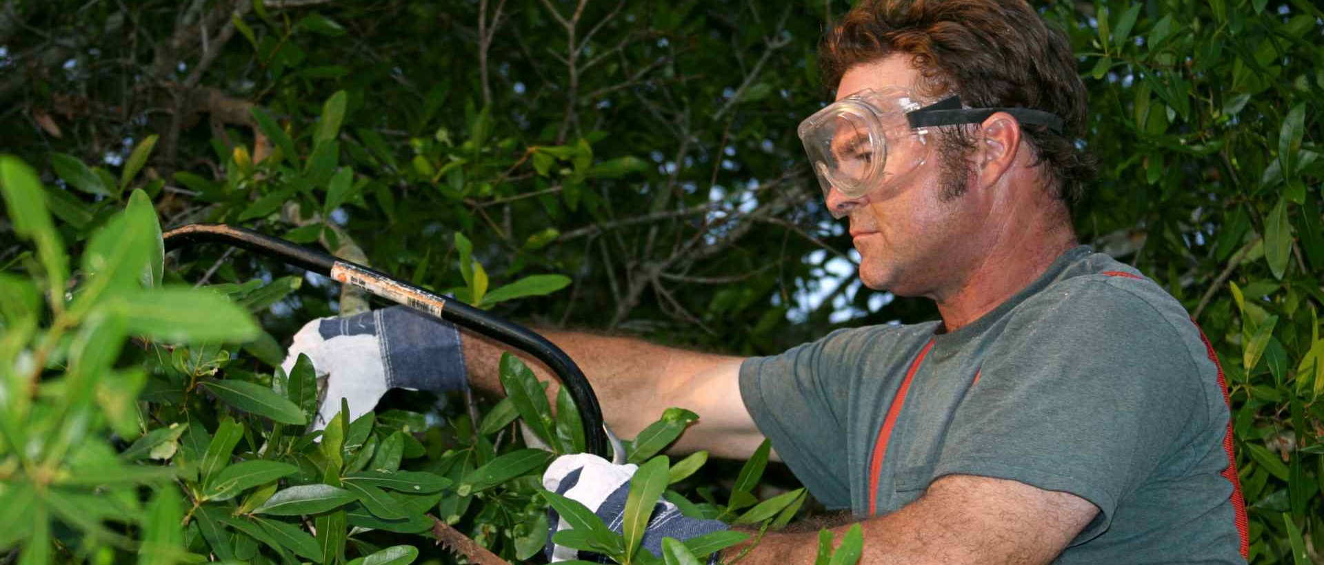 garden clearance DA2